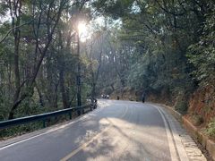 -岳麓山风景名胜区