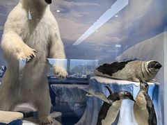 -国家自然博物馆