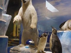 -国家自然博物馆