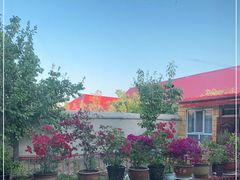 -马白开来特色羊排揪片子  (总店)