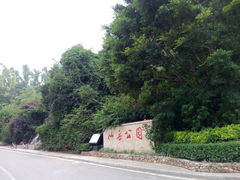 -仙岳公园