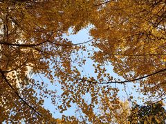 -杭州师范大学(下沙校区)