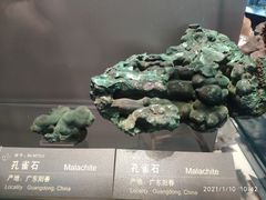 -中国地质博物馆