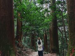-天目山大树王景区