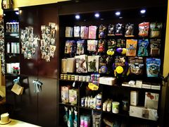 -Oh My Dog宠物沙龙(伊珊娜皮毛护理店)