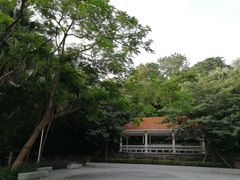 -中山公园(石岐街道)