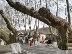 -T80科技文化国际社区-停车场