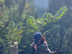 -佛慧山