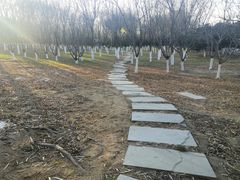 -大兴滨河森林公园