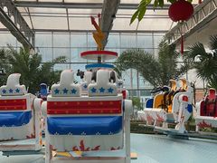 -南宫五洲植物乐园