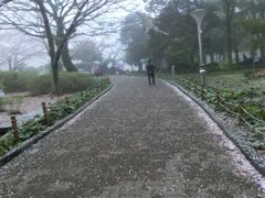 -汉拿树木园