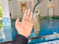 -SHRIMP CLUB万东餐饮钓虾·清吧