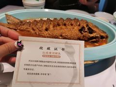 -阿五黄河大鲤鱼(纬三路店)