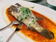 -伯衡55·吉品轩(乌鲁木齐南路店)