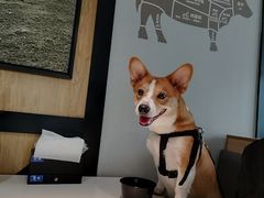 -潮发潮汕牛肉店(龙洞店)