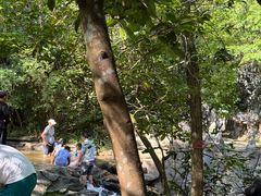 -大屏嶂森林公园