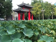 -四川大学(望江校区)