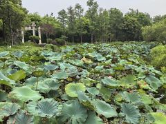 -厦门园林博览苑