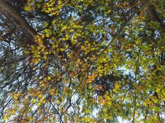 -狼山风景名胜区