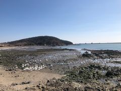 -烟墩角天鹅湖