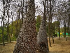 -天适樱花悠乐园