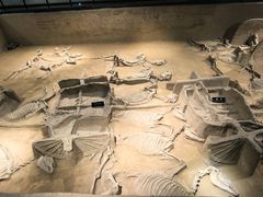 -洛阳周王城天子驾六博物馆