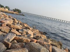 -宝安西湾红树林湿地公园