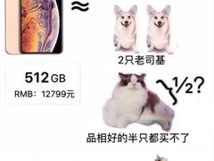 -Bastet sally猫舍购宠(静安店)
