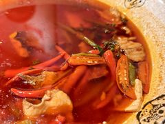 -陈麻婆豆腐(旗舰店)