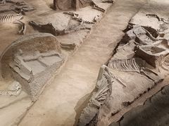 -洛阳周王城天子驾六博物馆