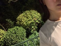 -西司夜市