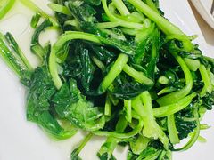 清炒鸡毛菜-19号私房菜(云南路店)