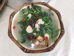 上汤西洋菜-姚林轩