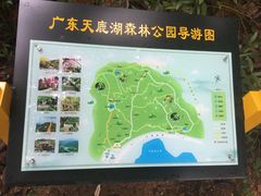-天鹿湖森林公园