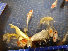 -昆明大悦城未来动物城(螺蛳湾中心店)