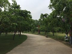 -御林古桑园