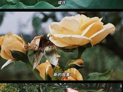 -湖南省植物园