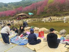 -福清灵石山国家森林公园