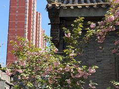 -绿地·中山里