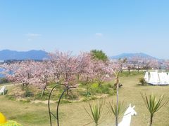 -福建鲤鱼洲酒店