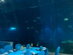 包厢-海棠湾洲际-涛·海底餐厅·美人鱼·自助餐·海底隧道
