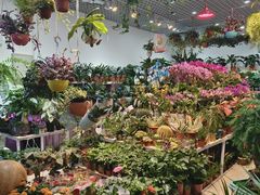 -三旗百汇商品城