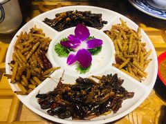 昆虫拼盘-醉云喃