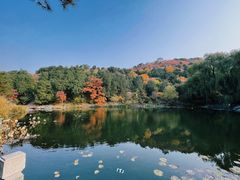 -香山公园