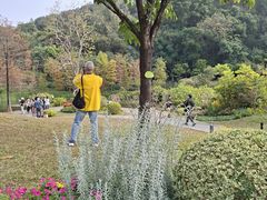 -云溪植物园