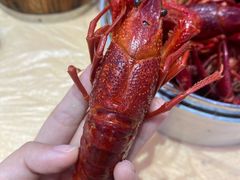清蒸精品小龙虾(小份)-怪怪龙虾·来自江苏盱眙(惊驾路店)