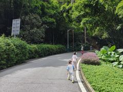 -火炉山森林公园