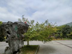 -虞山风景区