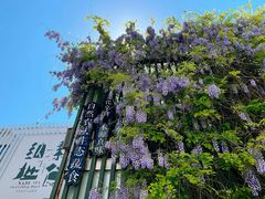 -纳地素食(石门公园店)