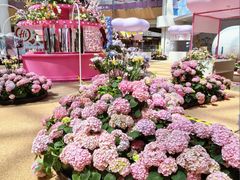 -上海长风大悦城